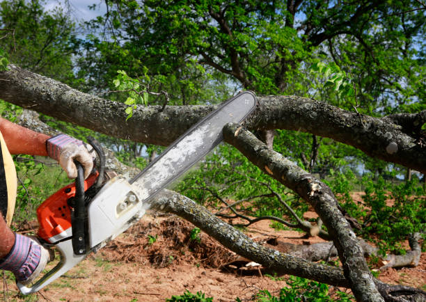 Lawn Watering Services in Calvert City, KY